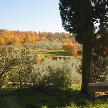Ritzy On A Wine Estate In With Pool Arezzo